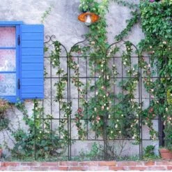 VEVOR Garden Trellis For Climbing Plants, 71 X 20 In, 4 Packs Rustproof Metal Garden Flower Trellis, Outdoor Climbing Rose Trellis Cucumbers Support