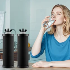 VEVOR Water Filters Replacement, Purification Elements, Activated Carbon Replacement Filters, Easy To Replace Water Filter, Pack Of 2, Black