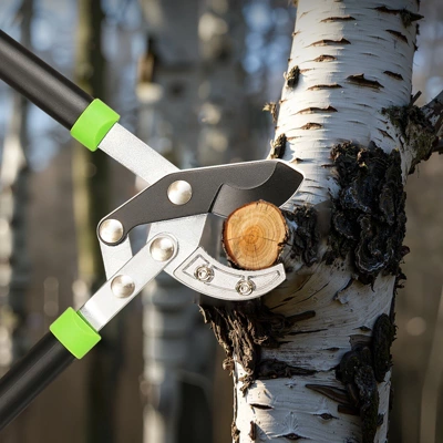 VEVOR Loppers For Tree Trimming, 32 Inch Garden Anvil Trimmer, Heavy Duty Tree Branch Cutter Up To 2 Inch Dia Cut Capacity, Green&Black 1 VEVOR Loppers For Tree Trimming, 32 Inch Garden Anvil Trimmer, Heavy Duty Tree Branch Cutter Up To 2 Inch Dia Cut Capacity, Green&Black