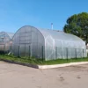 VEVOR Greenhouse Plastic Sheeting 12 X 50 Ft, 6 Mil Thickness Clear Greenhouse Film, Polyethylene Film 4 Year UV Resistant, For Gardening, Farming