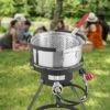 VEVOR 10 Qt Fish And Wing Fryer, Aluminum Propane Fish Fryer Kit, Outdoor Deep Fryer Seafood Pot With Thermometer, Strainer Basket, Silver